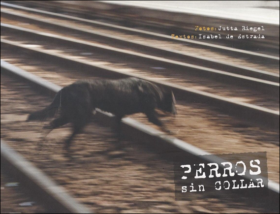 perros_sin_collar
