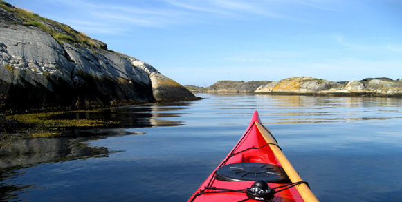 bohus