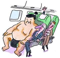sumopassenger