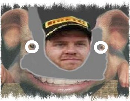 vettel5-