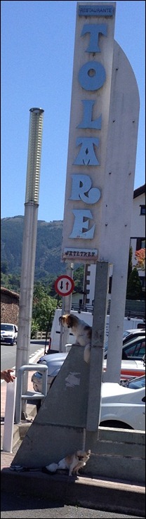 r tolare