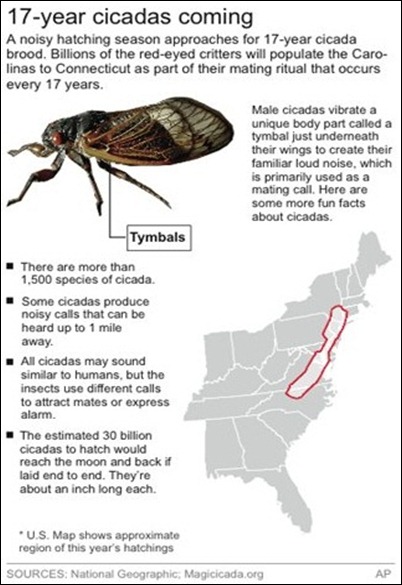 East about to be overrun by billions of cicadas