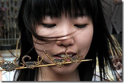 INSECTOS1
