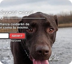 dogaboo-