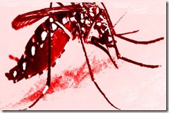 MOSQUITO)_(_1--