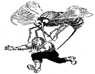 MOSQUITO