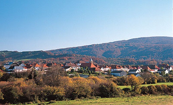 burguete)