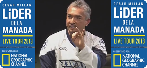 César_Millán_LIDER_DE_LA_MANADA_LIVE_TOUR