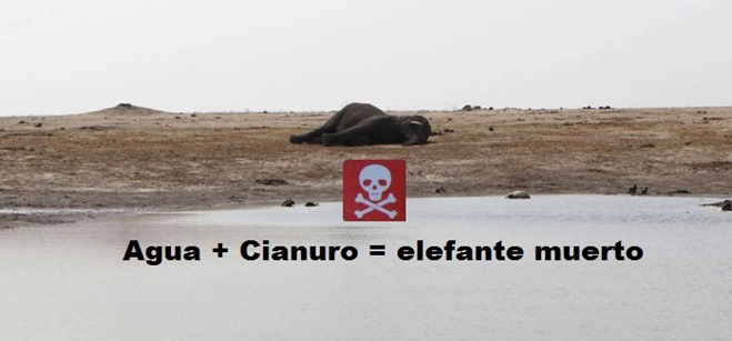 Agua   cianuro = elefante muerto