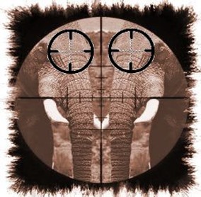 riflescope elephant)