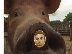 CERDO-
