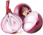 cebolla1