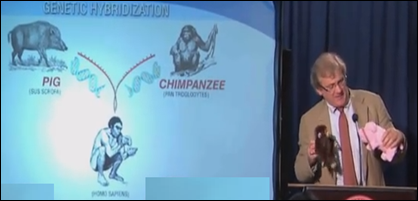 human_species_created_from_pigs_ans_chimps