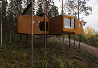 Dragonfly_Treehotel2
