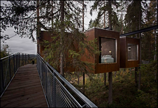 Dragonfly_Treehotel