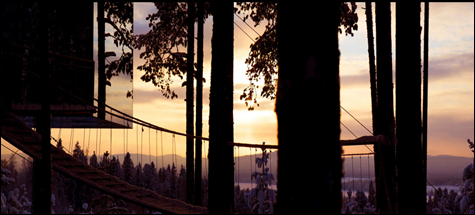 TREEHOTEL1