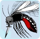 dengue_2
