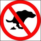 dog poop1
