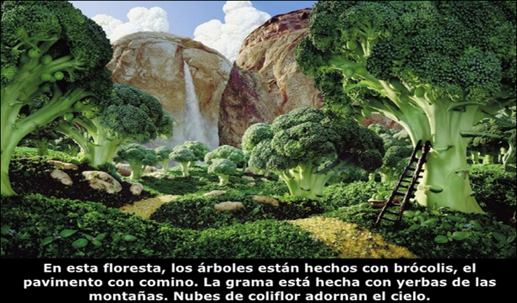 FOODSCAPES