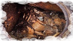 UScouple-$10million-gold-coin