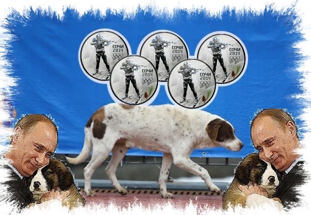 sochi dogs