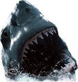 tiburón-2