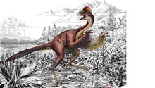 Dinosaur Anzu wyliei. Illustration Mark Klingler - Carnegie Museum of Natural History.