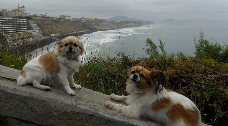Florentina y Bartolo-)