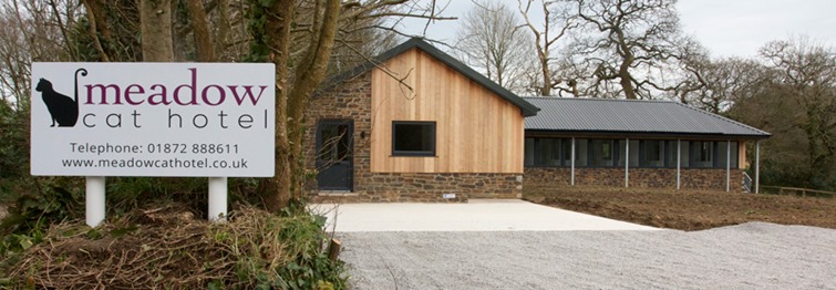 MEADOW CAT HOTEL