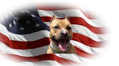 usflag