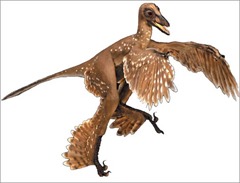 4-WINGED DINO