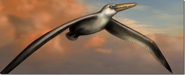Pelagornis sandersi-