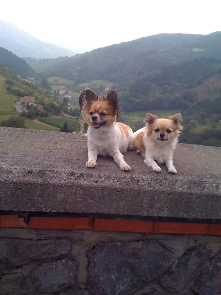 b & florentina - Alquiza
