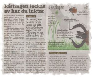 fästningar_2