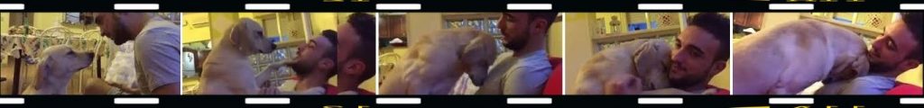 dog 1-