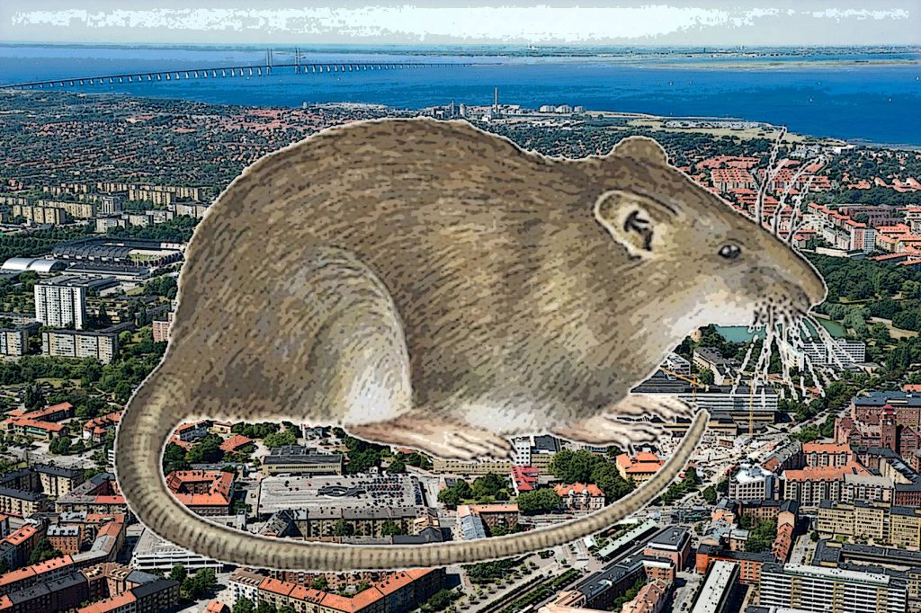 UMAS Malmö