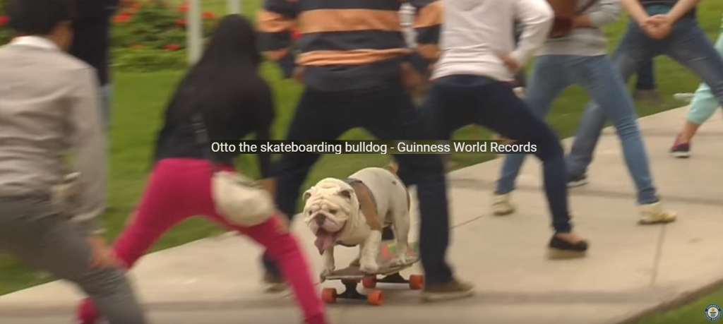 OTTO_1