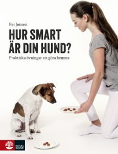 Hursmartardinhund