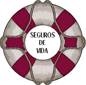 salvavidas2