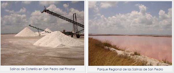 Salinas_de_S.Pedro_de_Pinatar