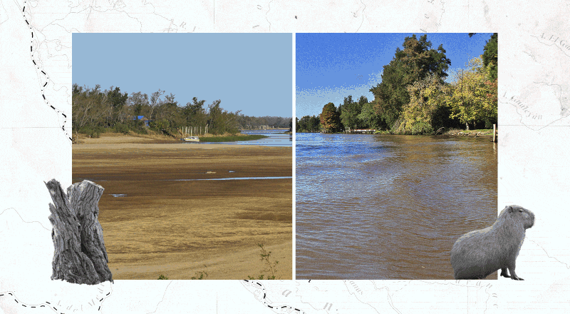 parana