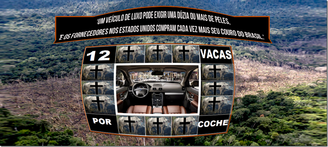 VACAS GEOM