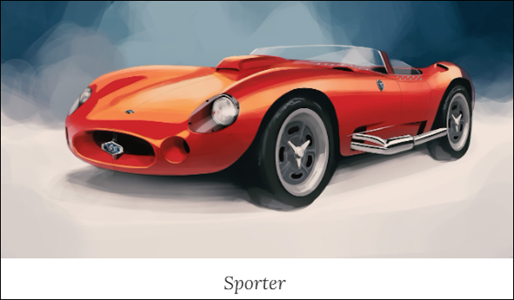 VINCES SPORTER