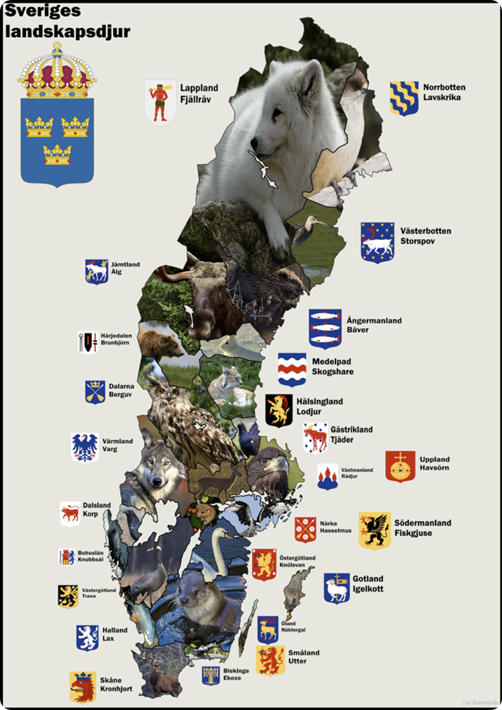 DJURSVEA