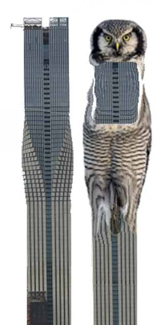 torre blanca