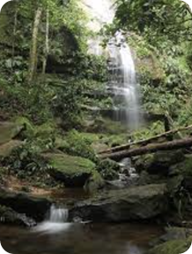 CACHOEIRA DO ESCOREGA MACACO