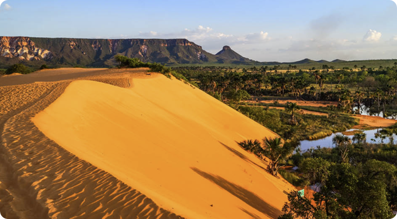 DUNAS 2