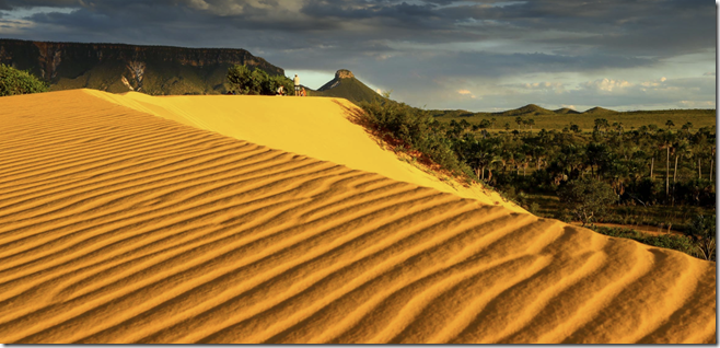 DUNAS 5
