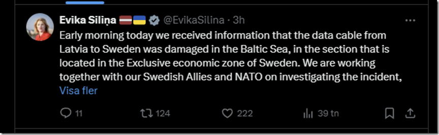 EVIKA SILINA
