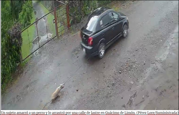 HOMBRE ARRASTRÓ PERRO